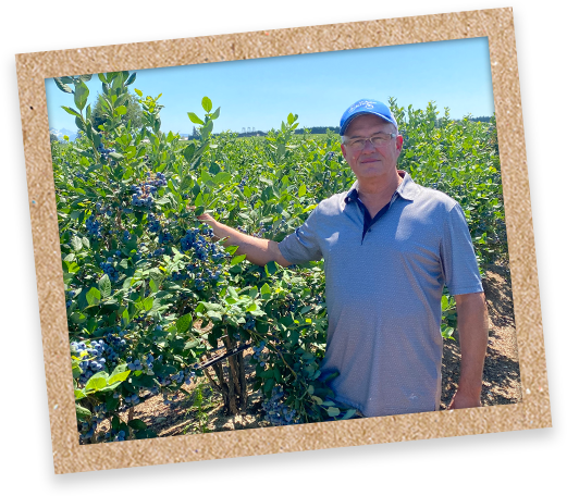 Harvey Krause from South Alder Farms standing beside blueberry bush