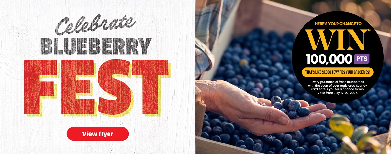 Celebrate Blueberry Fest